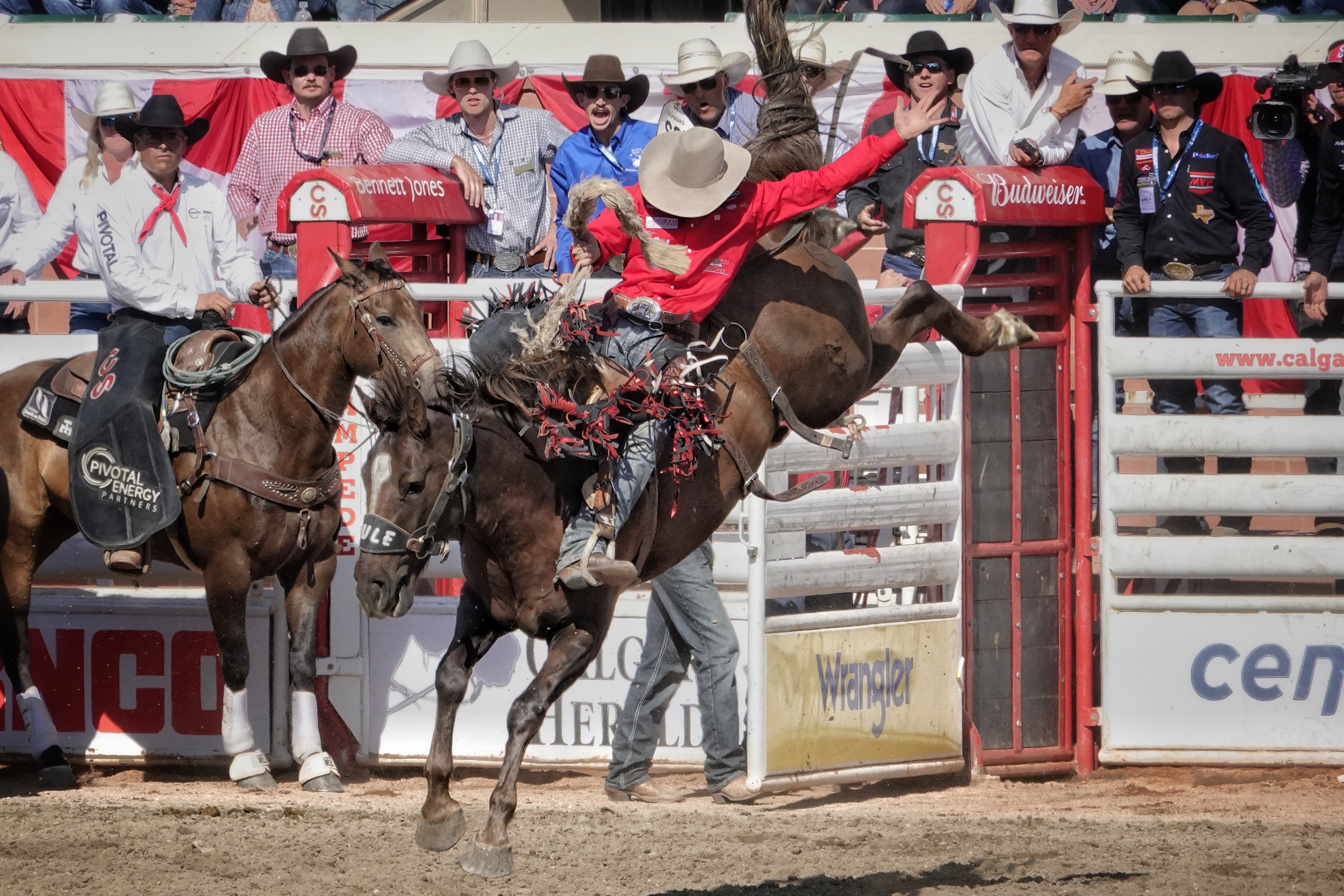 Épreuve équestre au Calgary Stampede
